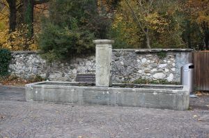 commons.wikimedia.org