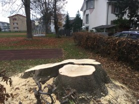 2015-11-19 16.19.20.jpg