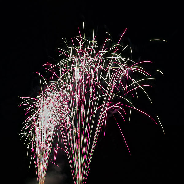 Quelle: William Crochot / Wikimedia Commons / CC-BY-SA-4.0