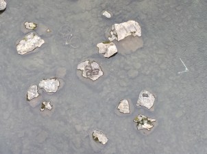 2016-02-13 14.56.56.jpg