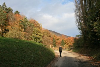 2012-11-01 16.13.26.jpg